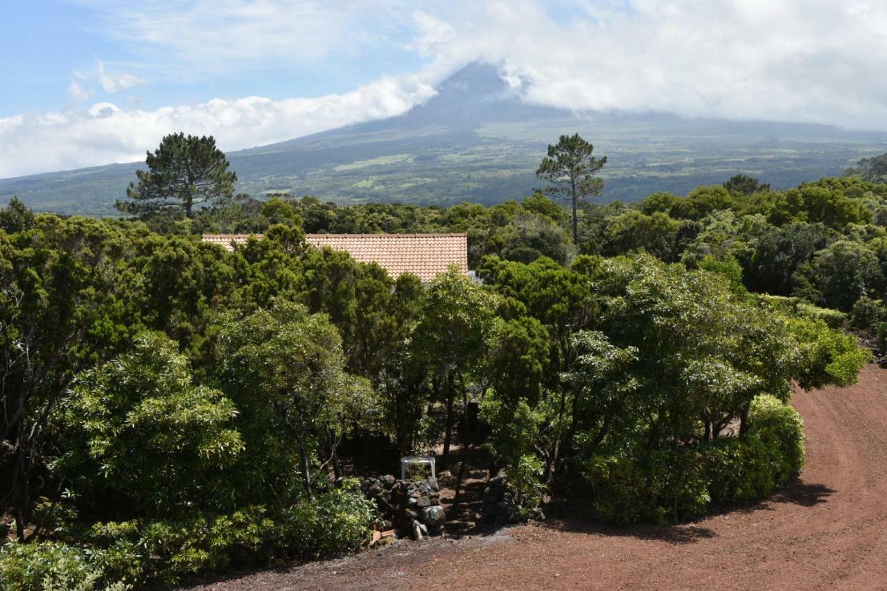 Adega Mourato Villa Bandeiras Buitenkant foto